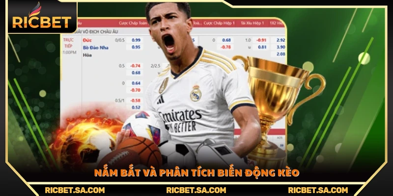 Theo dõi và đánh giá xu hướng biến động tỷ lệ cược