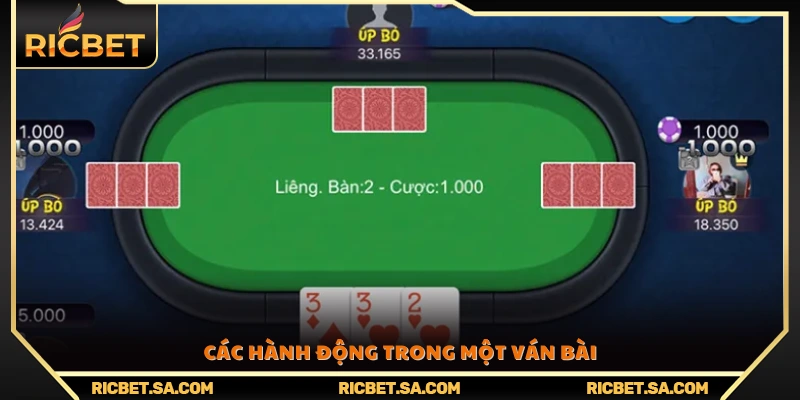 Những lựa chọn và thao tác mà người chơi có thể thực hiện