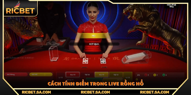 Quy tắc tính điểm chi tiết trong trò chơi live Rồng Hổ