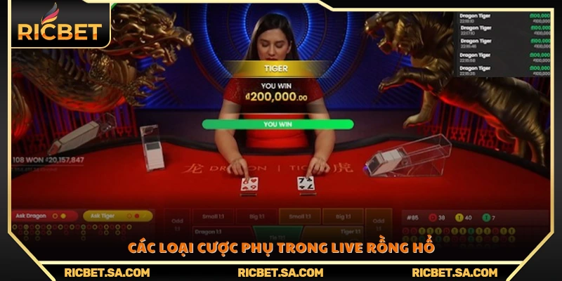 Danh sách và ý nghĩa các cửa cược phụ trong game