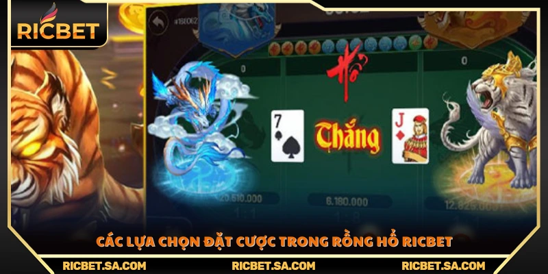 Danh sách những cửa cược phổ biến